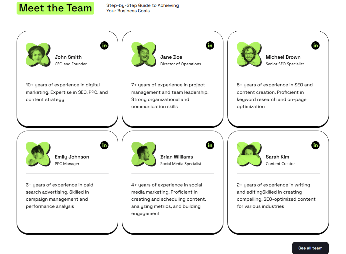 Company team profiles with photos highlighting each member's role, experience, and skills to guide achieving business goals.